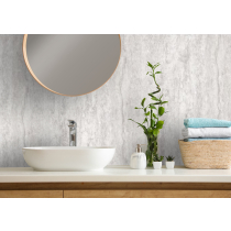 Shower wetwall