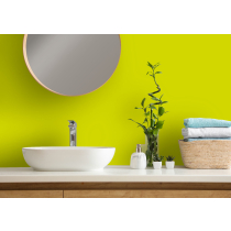 Lime hygienic cladding